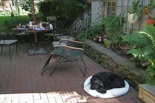 4th nap