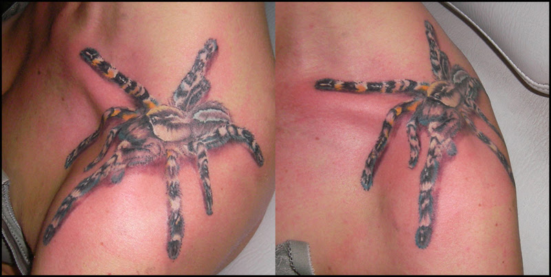 skull tattoos · spider web tattoo designs