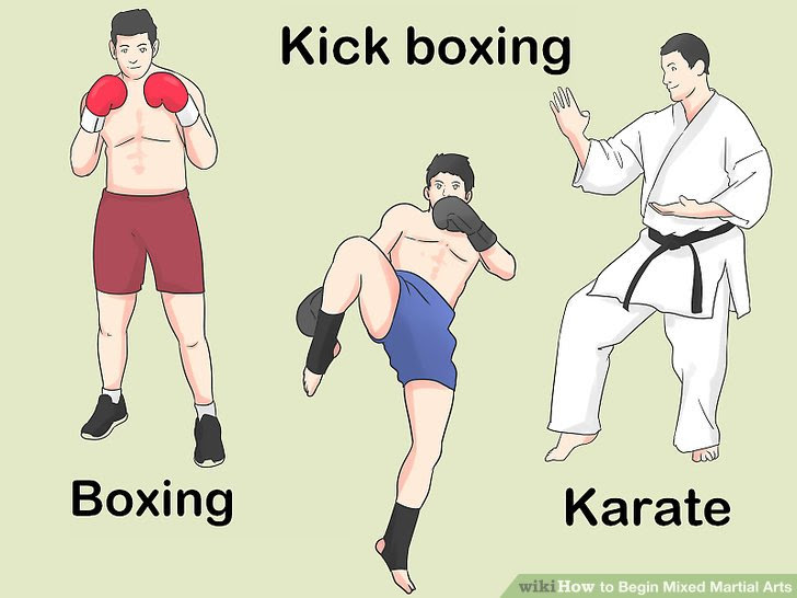 Begin Mixed Martial Arts Step 1 Version 2.jpg