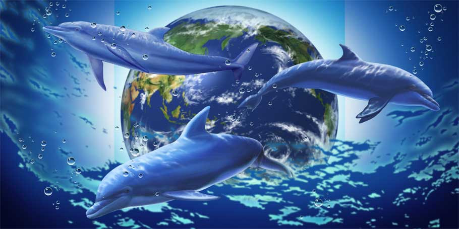 札幌新琴似にイルカの絵 パルク動物病院様 株式会社ティーズ クリップ