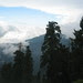 IMG_0438_48_1