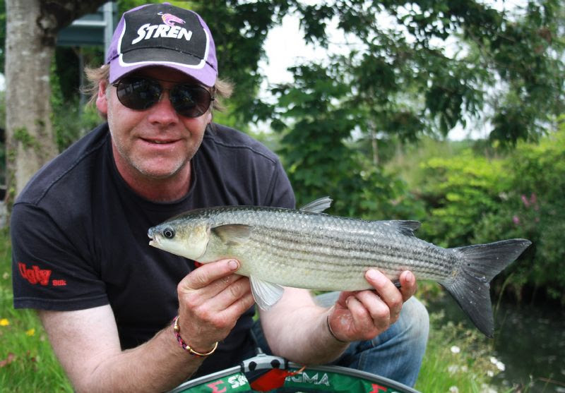 how to catch mullet, float fishing for mullet, terry's travels