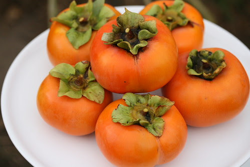 Fuyu Persimmons grown in Los Angeles