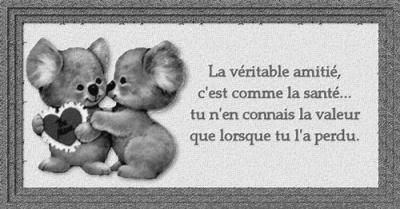 Citation Amitie