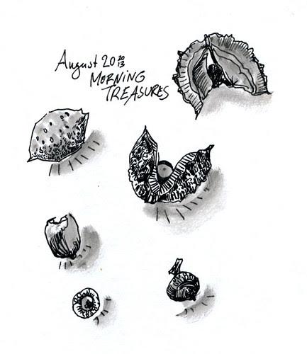 August 2013: Treasures