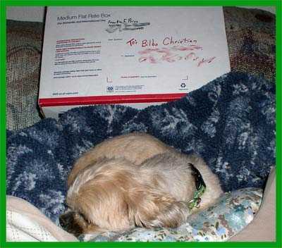 Sleepy-Bilbo-and-Package