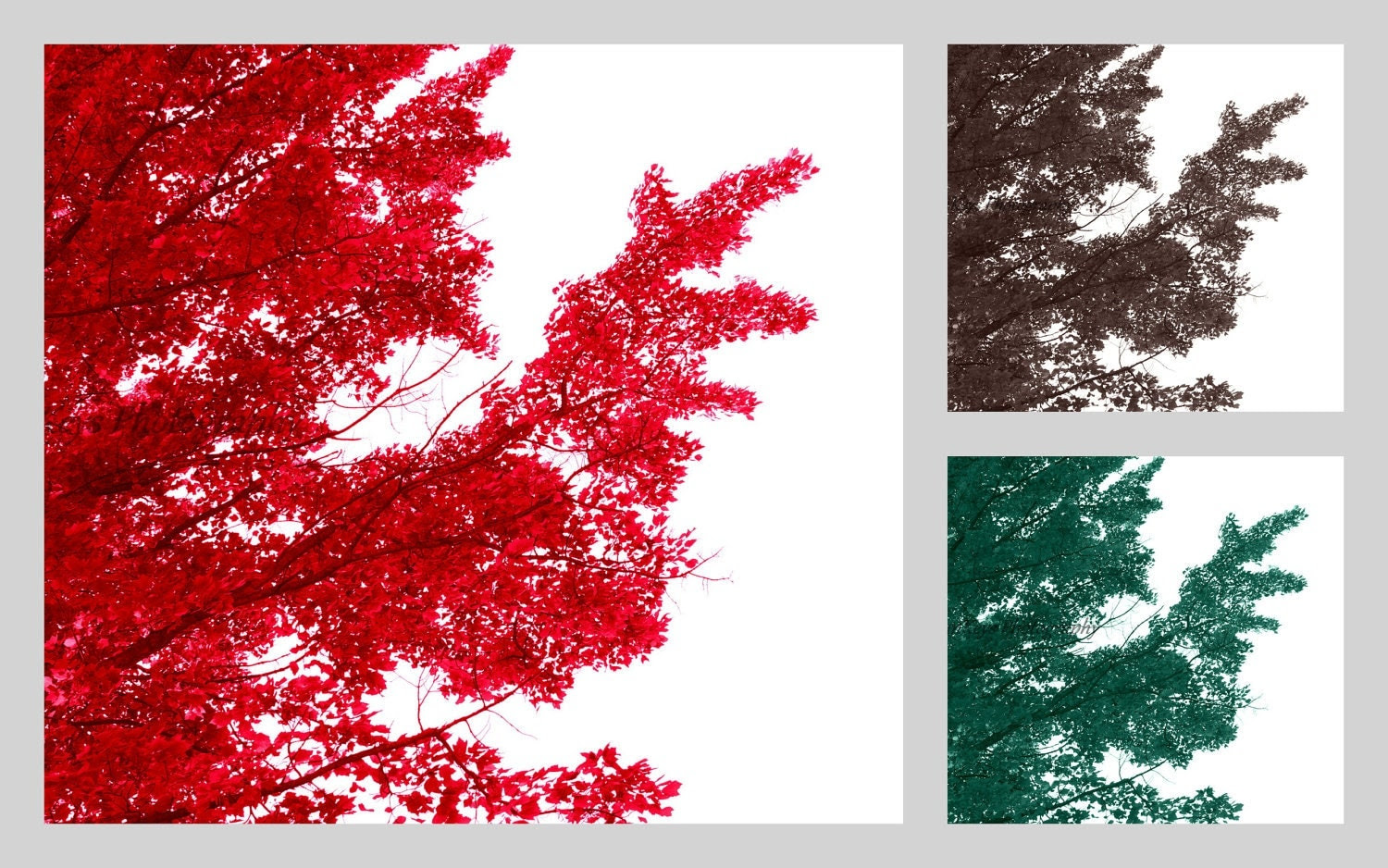 Tree Set Digital Download Photo Trees Red Brown by FOTOJENNIKS