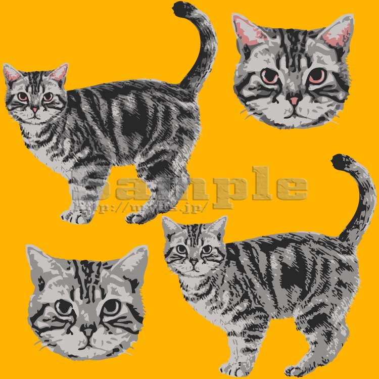 リアルアメリカンショートヘア No 169 リアルアメショーのイラスト アイコン 条件付フリー素材集 スマホなど携帯電話対応