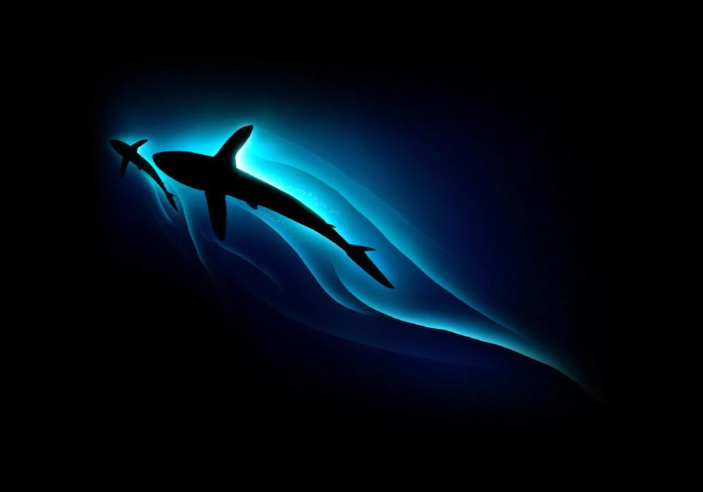 Animated Wallpaper Free Windows 8 - WallpaperSafari