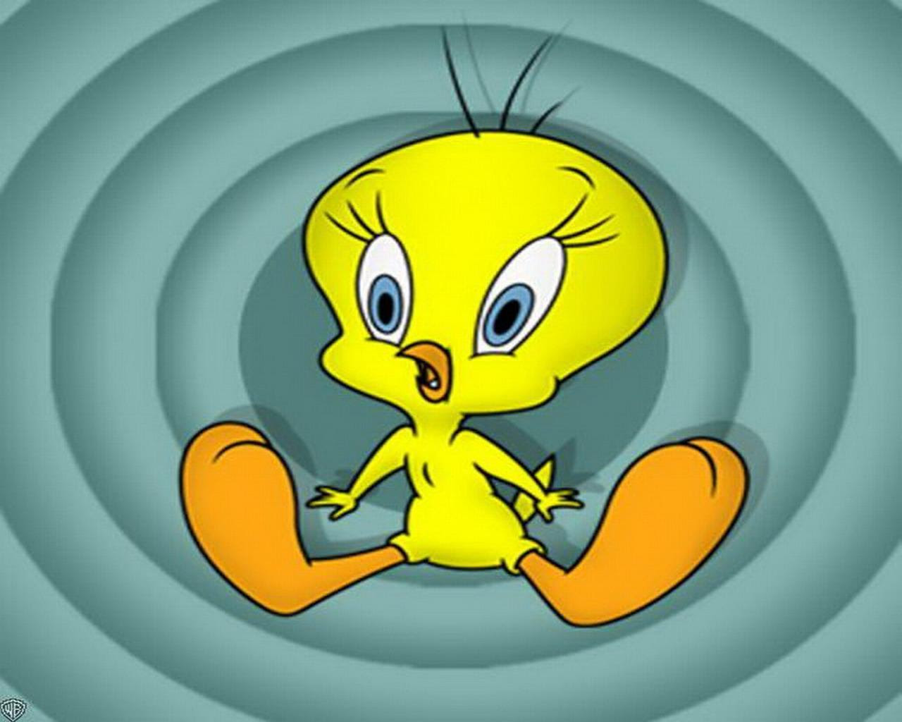 Tweety Bird 壁紙 トゥイーティー 壁紙 ファンポップ