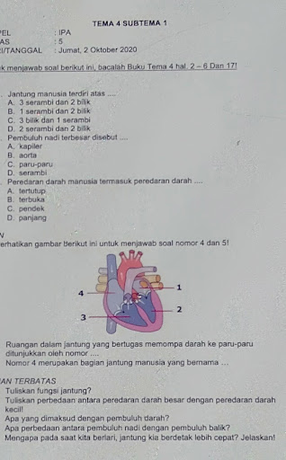 Gambar