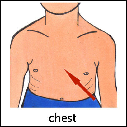 Chest PECS Card