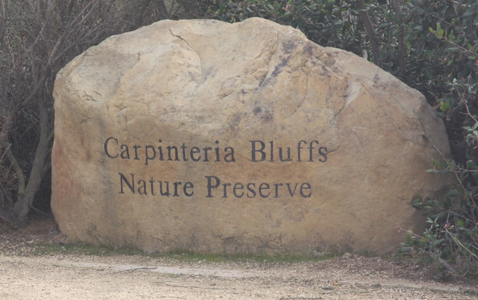 The best hotels places to stay in Carpinteria, United