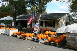 Fall Arrives At Matarazzo's in North Caldwell