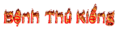 Bệnh Thú Kiểng