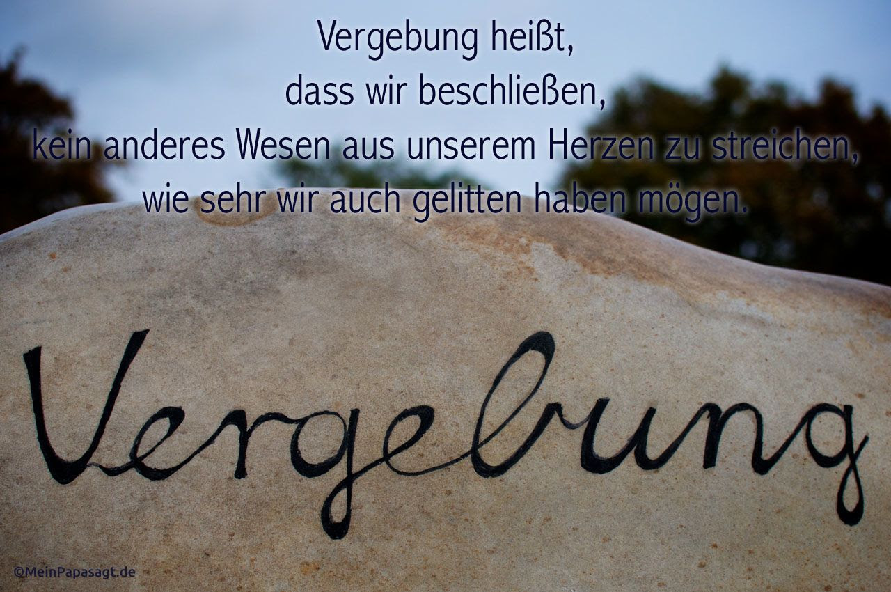 vergebung heisst weisheit