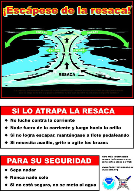 swimming  safety