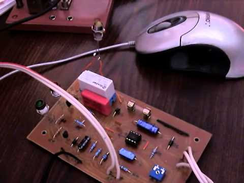 Kit cloture electrique mouton