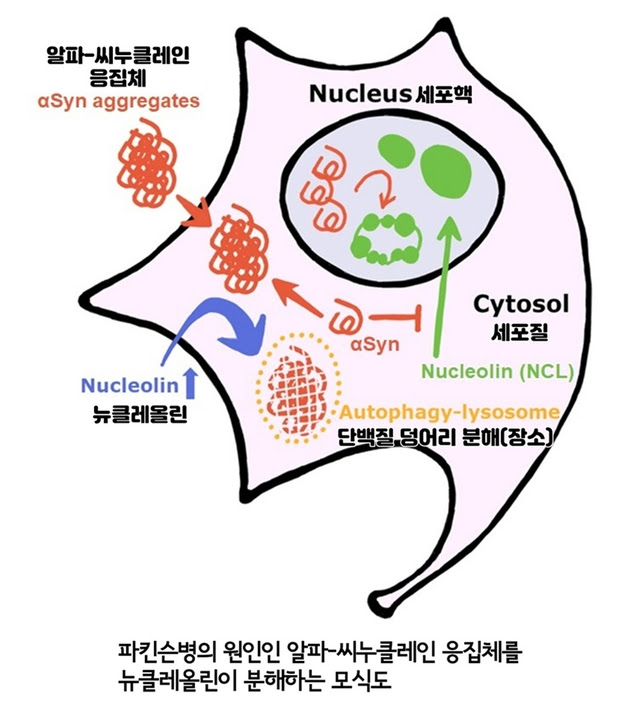 ìê´'ë ì°ë³¸ë³'ì ì¸ì