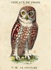 casino oiseaux de proie 9