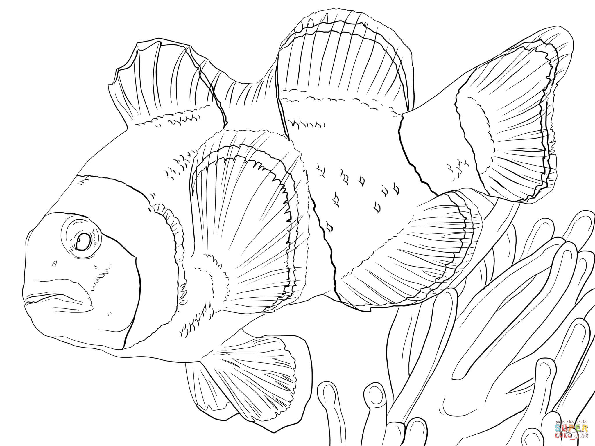 Clicca su disegni da colorare di Pesce pagliaccio