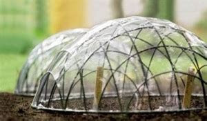 Diy Cloche Garden Mini Greenhouse