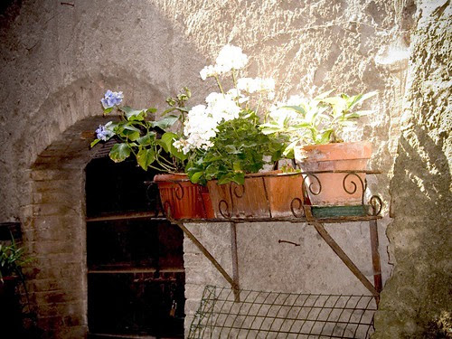 Flower Box