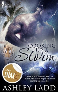 Booking Storm - Book Cover