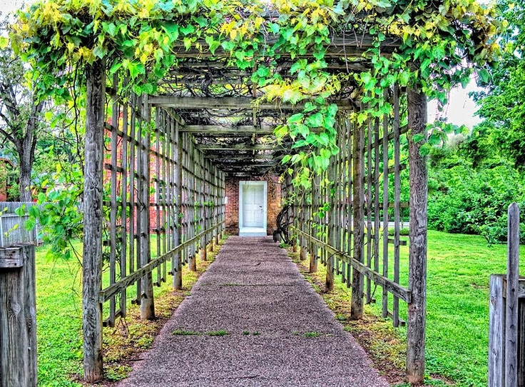Rustic Grape Arbor | verdant | Pinterest