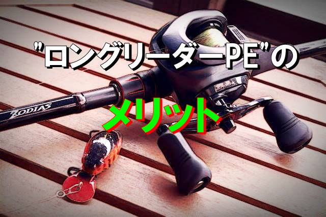 D Deeep Stream式ロングリーダーpeシステムまとめ 2 メリット編 Deeep Stream