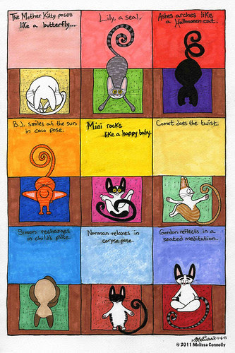 Resolutions (December 31, 2010)