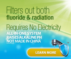 Breakthrough All-In-One Water Filter!