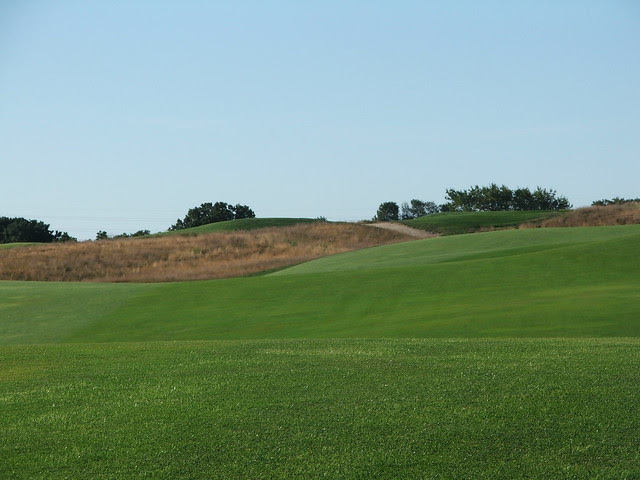 DSCF8485