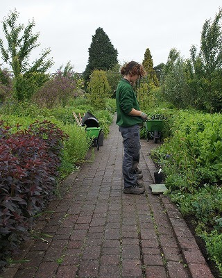 Gardener S Cafe ガーデナーズファッション