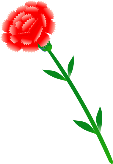 赤いカーネーション 茎付き のイラスト 無料イラスト素材 ちいさないきもの