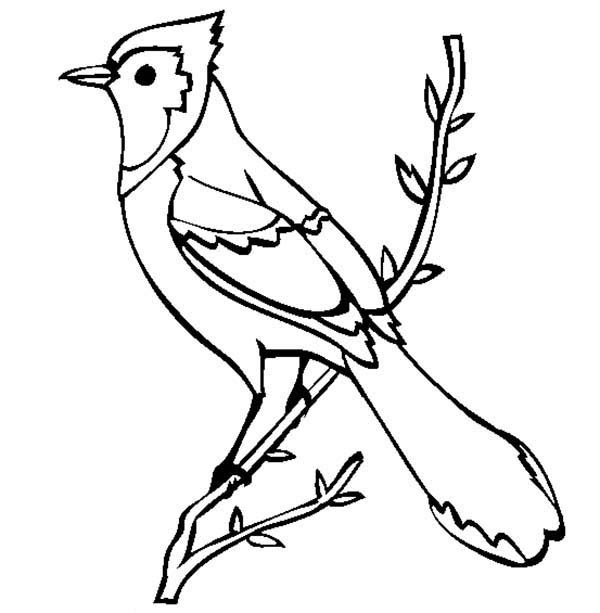 Toronto Blue Jays Coloring Pages at GetColorings.com ...