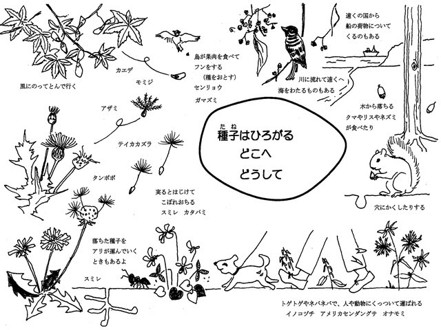 神奈川シニア自然大学校 活動ブログ 15年10月