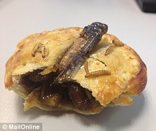 The crunchy locust on top of the bronzed pastry made for unconventional presentation, but the filling was spicy and moist - if a little slimy