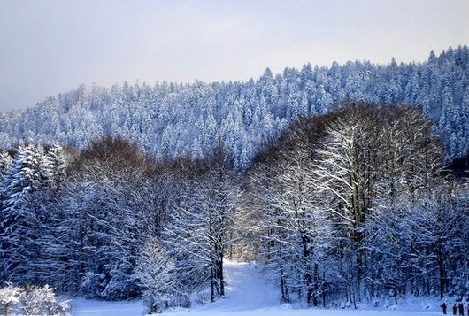 085 IMAGES PAYSAGES NEIGE