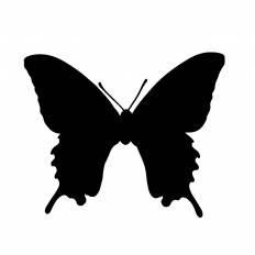 美しい花の画像 50 ちょうちょ イラスト 白黒