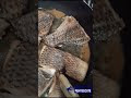A Riqueza Subaquática de Pereira de Miranda: Um Mar de Sabores e Sustentabilidade