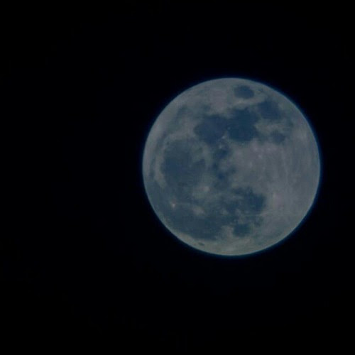 Blue Moon Rising by Tom C. Frundle