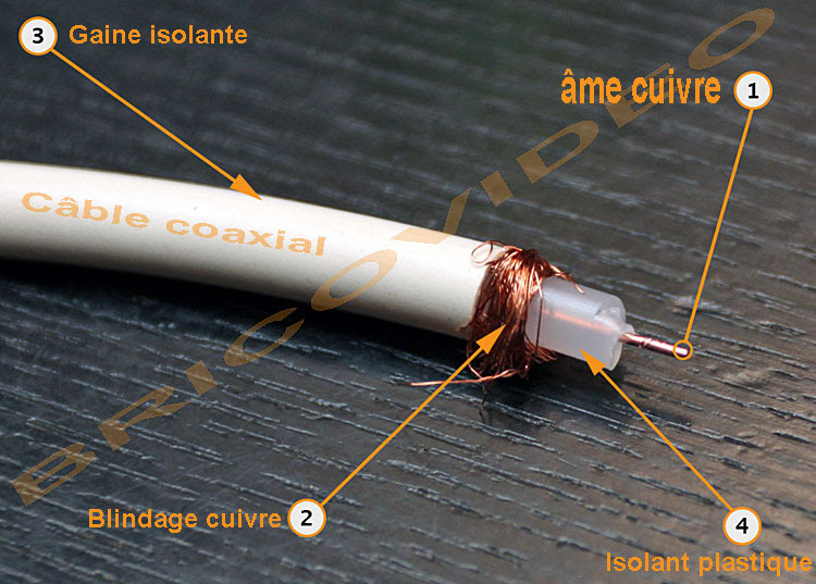 TVNT.net - Le forum de la TNT • TNT par l'antenne ou par le cable ?? : La  TNT en immeuble