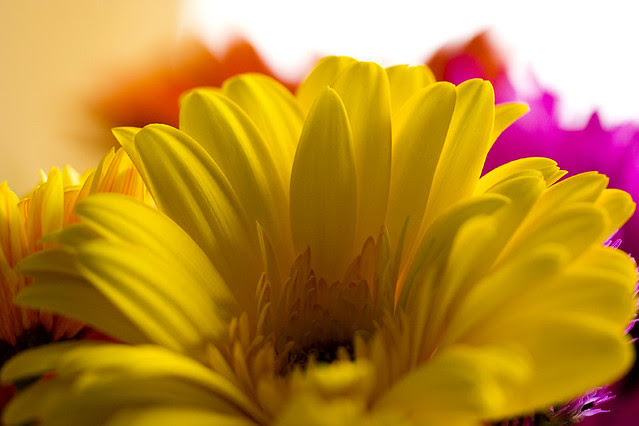 mothers day poems from kids. short mothers day poems from