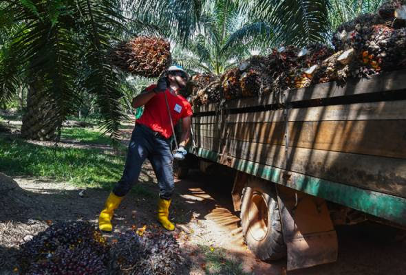 Felda Nafi Lewat Bayar Peneroka Astro Awani