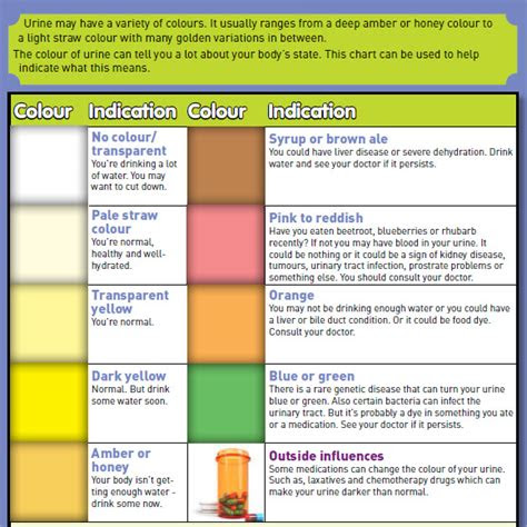 Additionally, if a rapid test is requested, the results are received on the same day. 9 sample urine color charts pdf sample templates