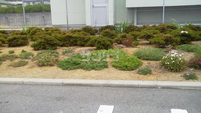 アプローチ 庭の雑草対策のリフォーム