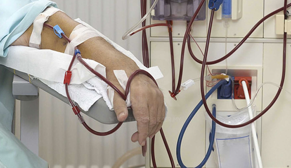 Kalau betul produk baiki sel itu bagus, kenapa jantung & buah pinggang teruk benar lemahnya?