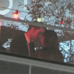 #RobstenKissed 5/23/12