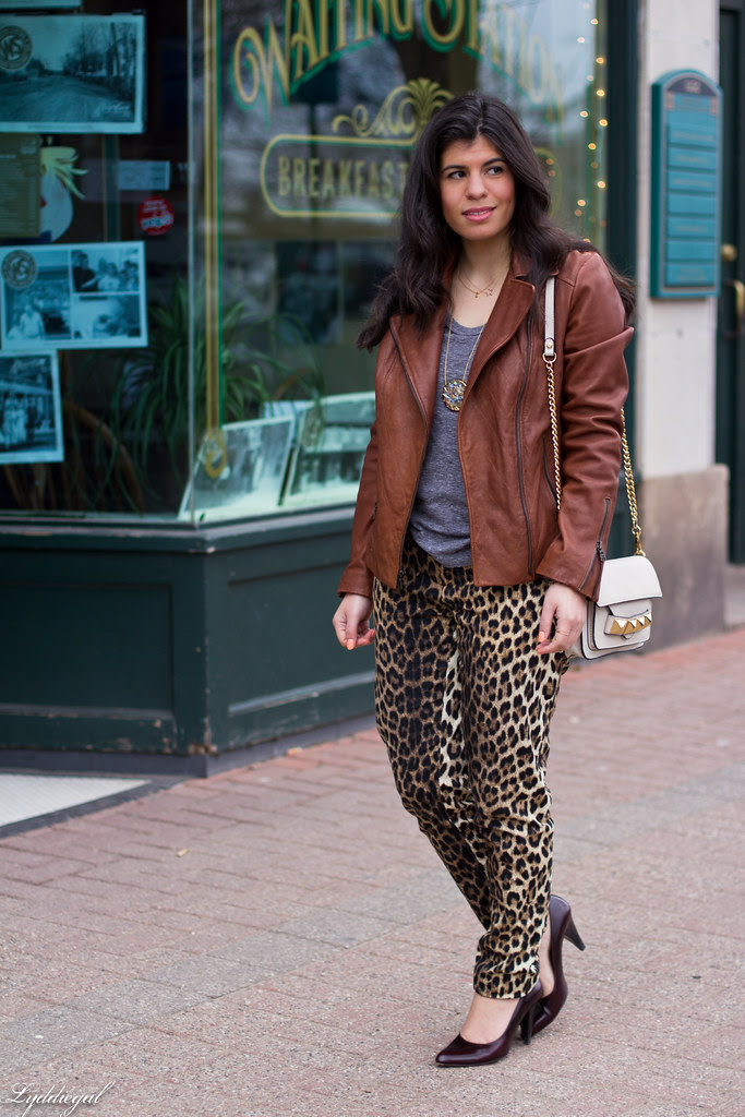 leopard pants, leather jacket-2.jpg